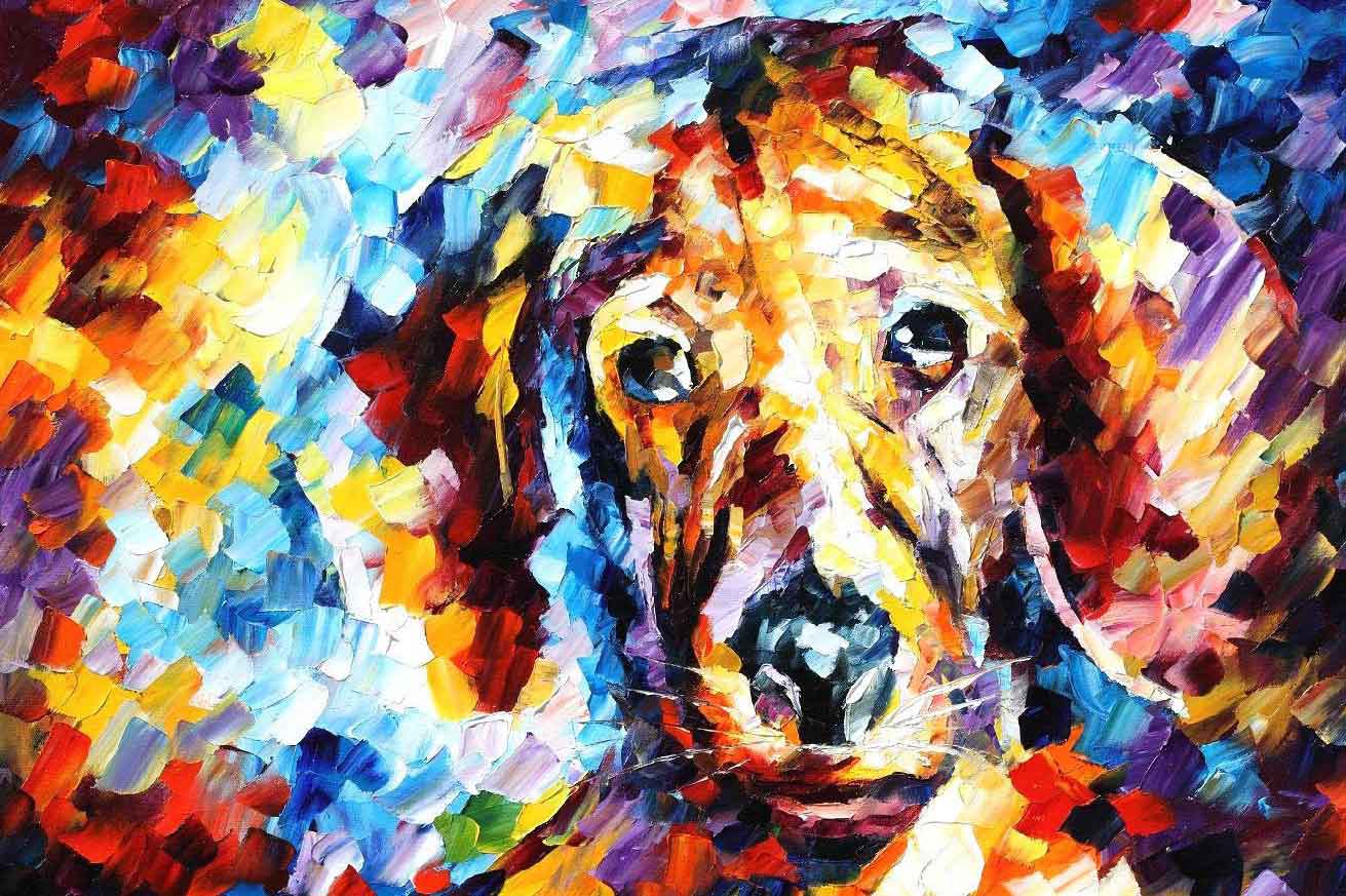 Cachorro triste pintado com muitas cores.
