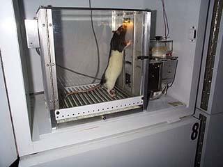 rati1