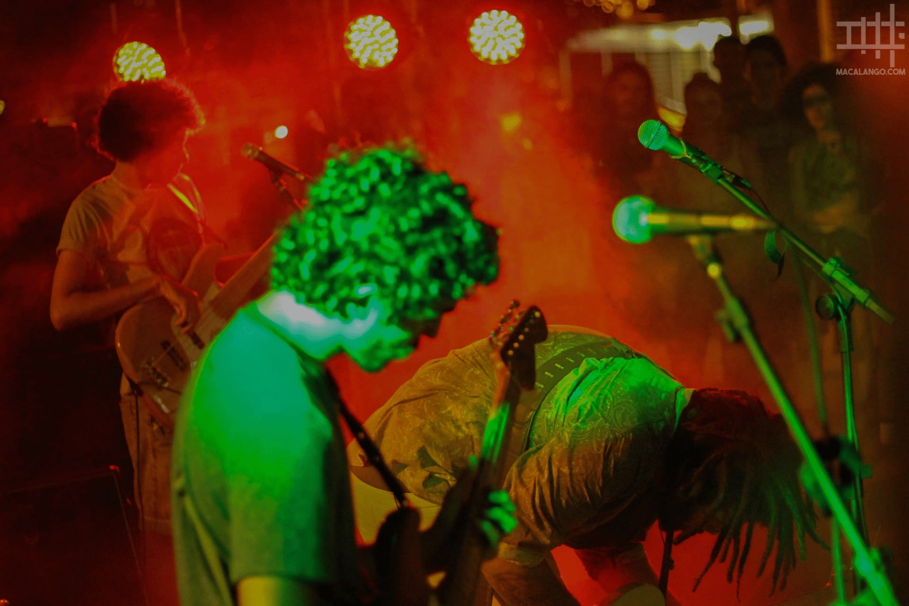 foto multicoloria de vieira, guitarrista e baixista