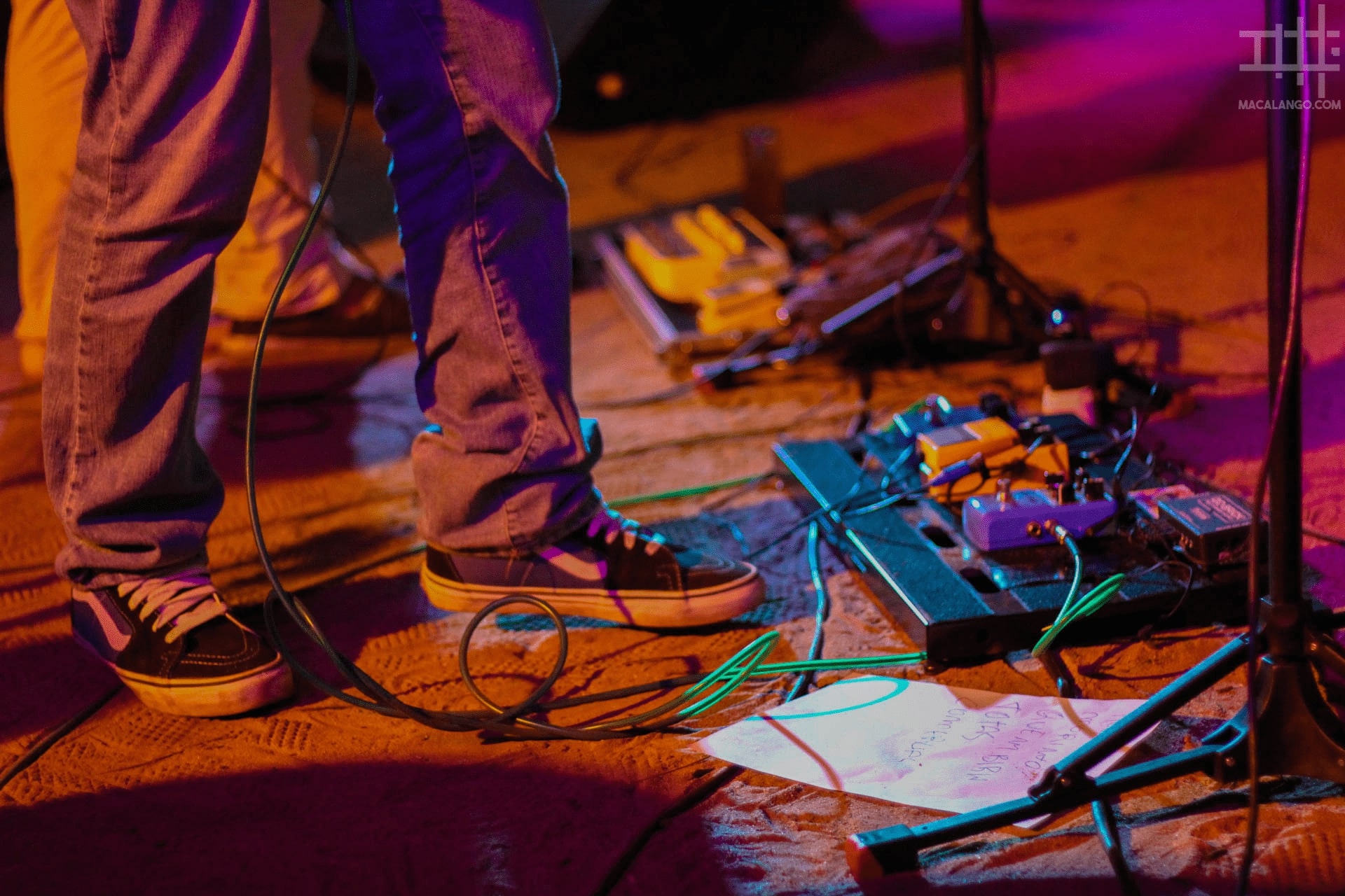 foto multicoloria de vieira, guitarrista e baixista